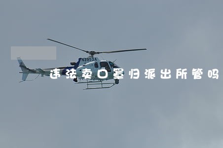 违法卖口罩归派出所管吗 违法卖口罩归派出所管吗