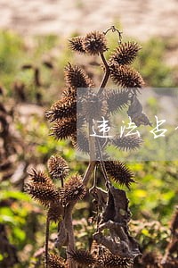 违法占停车位 违法占停车位
