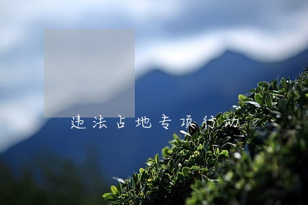 违法占地专项行动