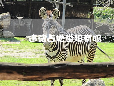 违法占地举报有吗 违法占地举报有吗