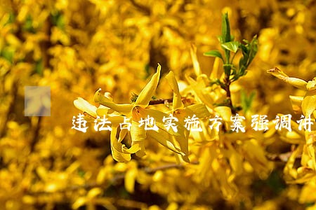 违法占地实施方案强调讲话 违法占地实施方案强调讲话