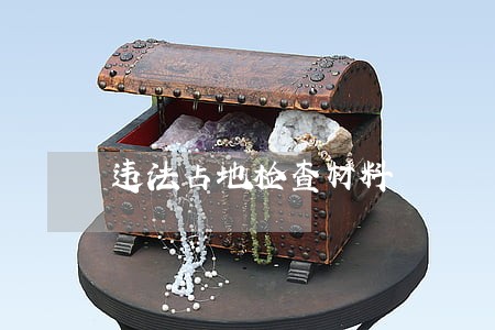 违法占地检查材料