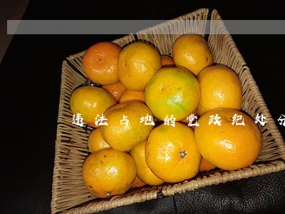 违法占地的党政纪处分石家庄