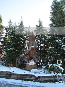 违法占地立案法律依据 违法占地立案法律依据