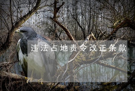 违法占地责令改正条款 违法占地责令改正条款