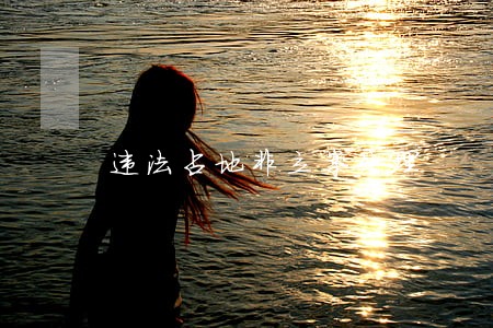 违法占地非立案处理 违法占地非立案处理