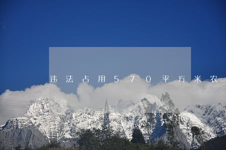 违法占用570平方米农用地 违法占用570平方米农用地
