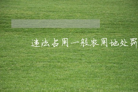 违法占用一般农用地处罚多少 违法占用一般农用地处罚多少