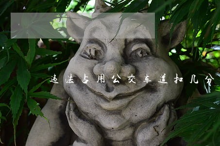 违法占用公交车道扣几分 违法占用公交车道扣几分