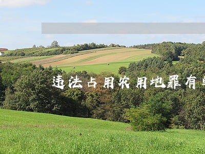 违法占用农用地罪有单位犯罪吗 违法占用农用地罪有单位犯罪吗