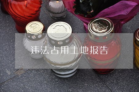 违法占用土地报告 违法占用土地报告
