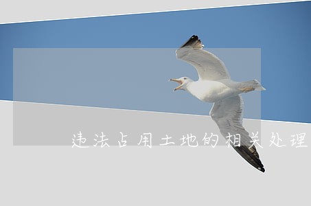 违法占用土地的相关处理规定