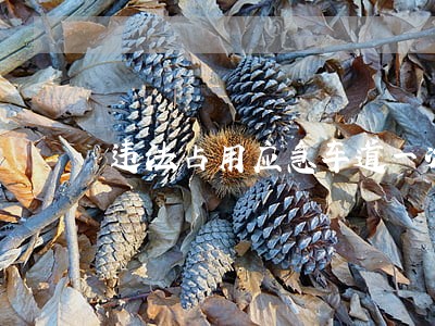 违法占用应急车道一次扣几分 违法占用应急车道一次扣几分