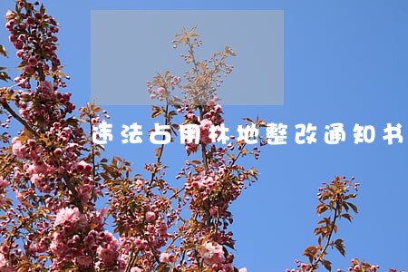 违法占用林地整改通知书