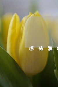 违法发放的房产证如何撤销 违法发放的房产证如何撤销