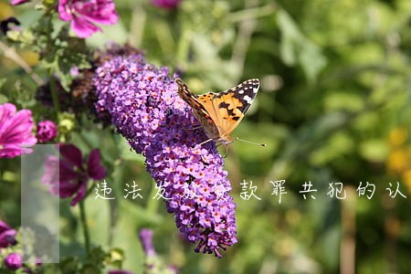 违法发放贷款罪共犯的认定 违法发放贷款罪共犯的认定