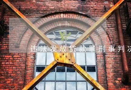 违法发放贷款罪刑事判决书 违法发放贷款罪刑事判决书