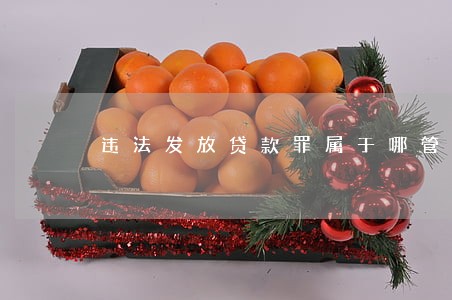 违法发放贷款罪属于哪管辖 违法发放贷款罪属于哪管辖