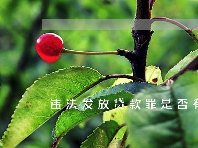 违法发放贷款罪是否有共犯 违法发放贷款罪是否有共犯
