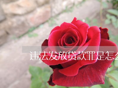 违法发放贷款罪是怎么量刑 违法发放贷款罪是怎么量刑