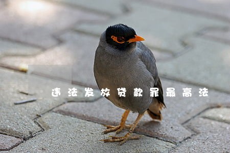 违法发放贷款罪最高法