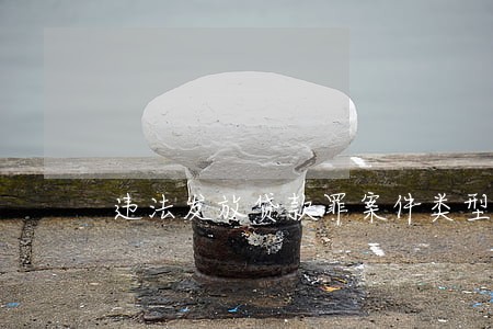 违法发放贷款罪案件类型为刑事