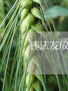 违法发放贷款罪的客体是
