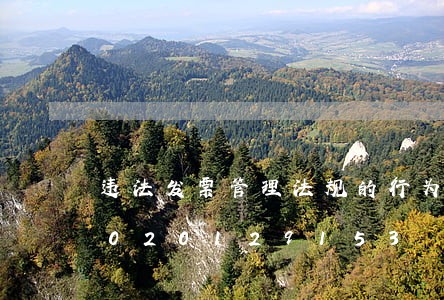违法发票管理法规的行为的处罚/2023020129153