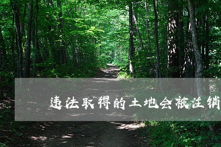 违法取得的土地会被注销吗 违法取得的土地会被注销吗