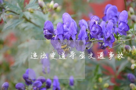 违法变道导至交通事故 违法变道导至交通事故