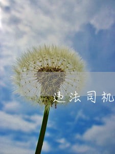 违法司机自食苦果 违法司机自食苦果