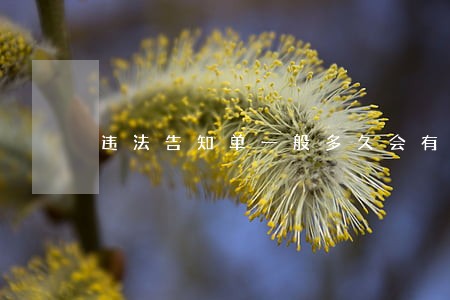 违法告知单一般多久会有短信通知