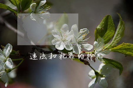 违法和犯罪的特征