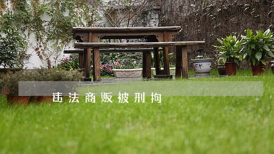 违法商贩被刑拘 违法商贩被刑拘