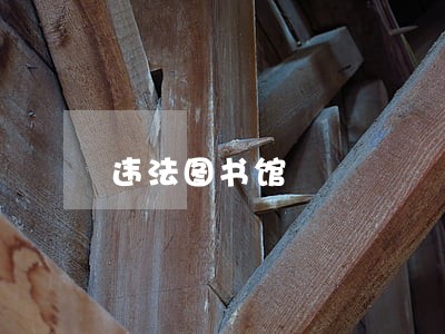 违法图书馆 违法图书馆