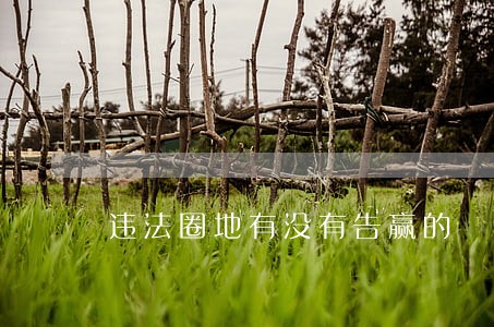 违法圈地有没有告赢的