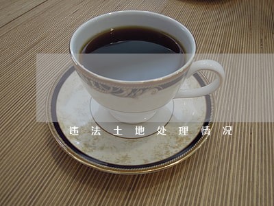 违法土地处理情况 违法土地处理情况