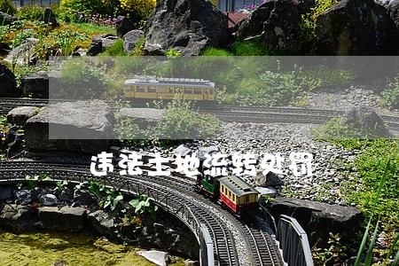 违法土地流转处罚 违法土地流转处罚
