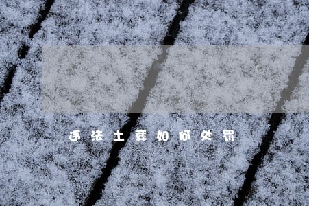 违法土葬如何处罚 违法土葬如何处罚