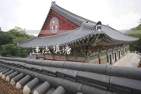 违法填塘 违法填塘