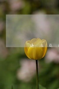 违法处理在12123上处理了 违法处理在12123上处理了