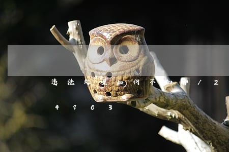 违法处理如何不扣分/2023020844903 违法处理如何不扣分/2023020844903
