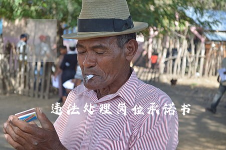 违法处理岗位承诺书 违法处理岗位承诺书