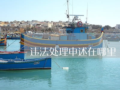 违法处理申述在哪里 违法处理申述在哪里