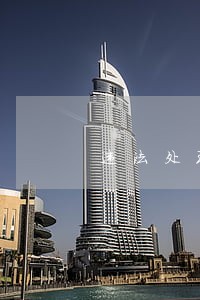 违法处理窗口工作职责 违法处理窗口工作职责