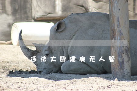 违法大肆建房无人管 违法大肆建房无人管