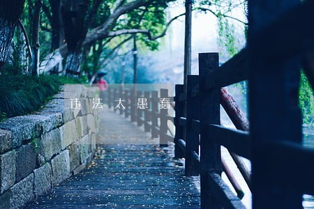 违法太愚蠢 违法太愚蠢