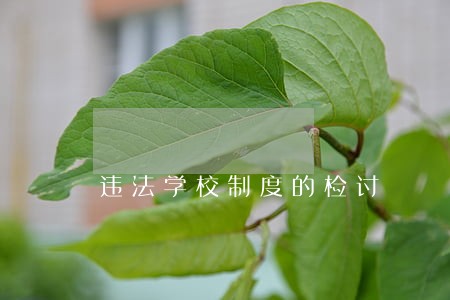 违法学校制度的检讨 违法学校制度的检讨