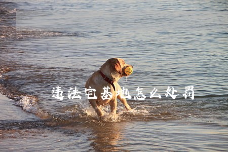 违法宅基地怎么处罚 违法宅基地怎么处罚