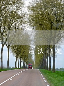 违法已处理刷新会显示正常吗